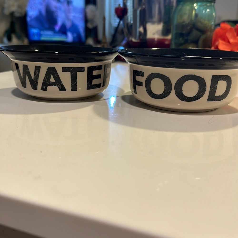 Food and water bowl